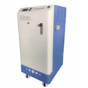 پانی صاف کرنے کے لئے 8-28 گرام اوزون جنریٹر